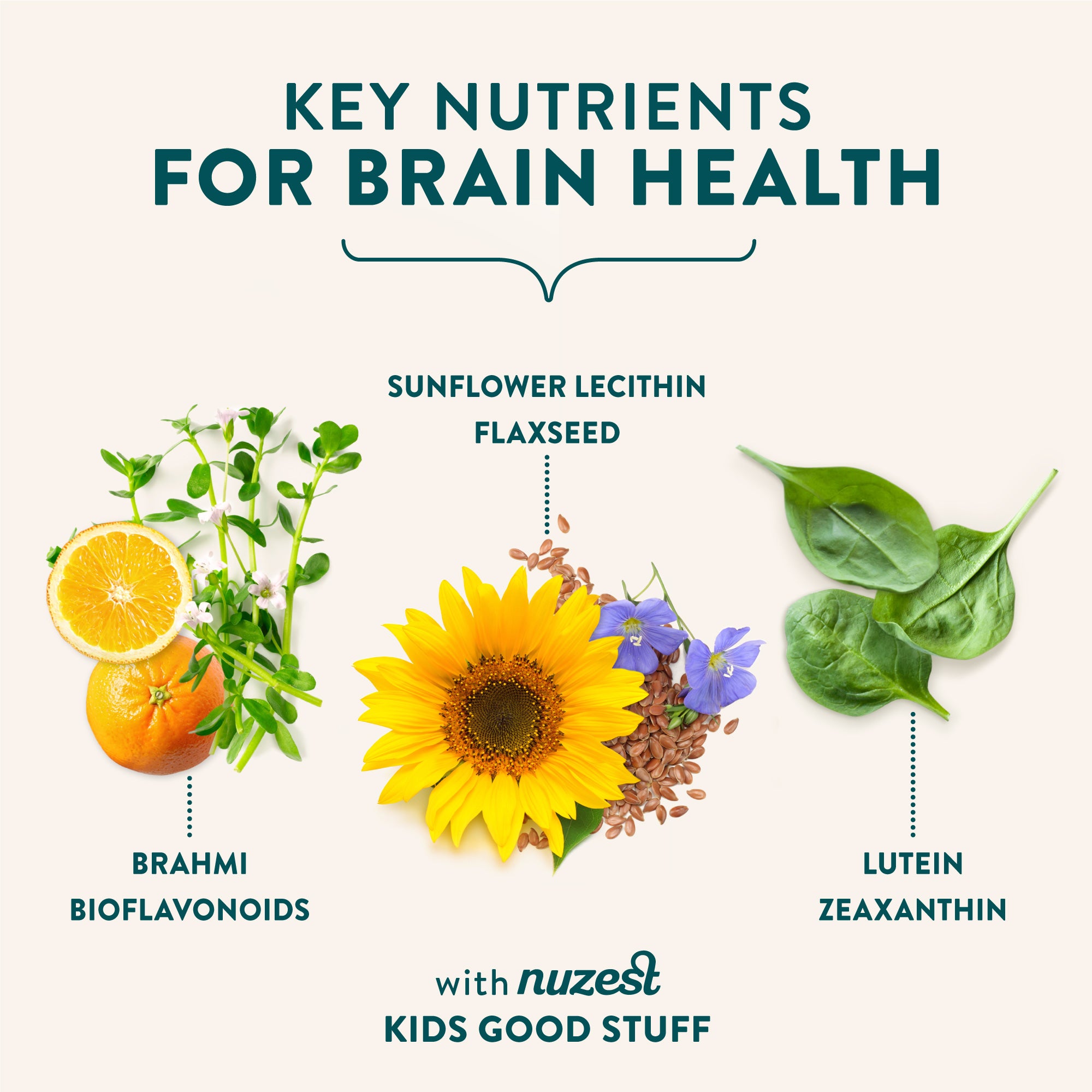 Kids Good Stuff for Brain Health